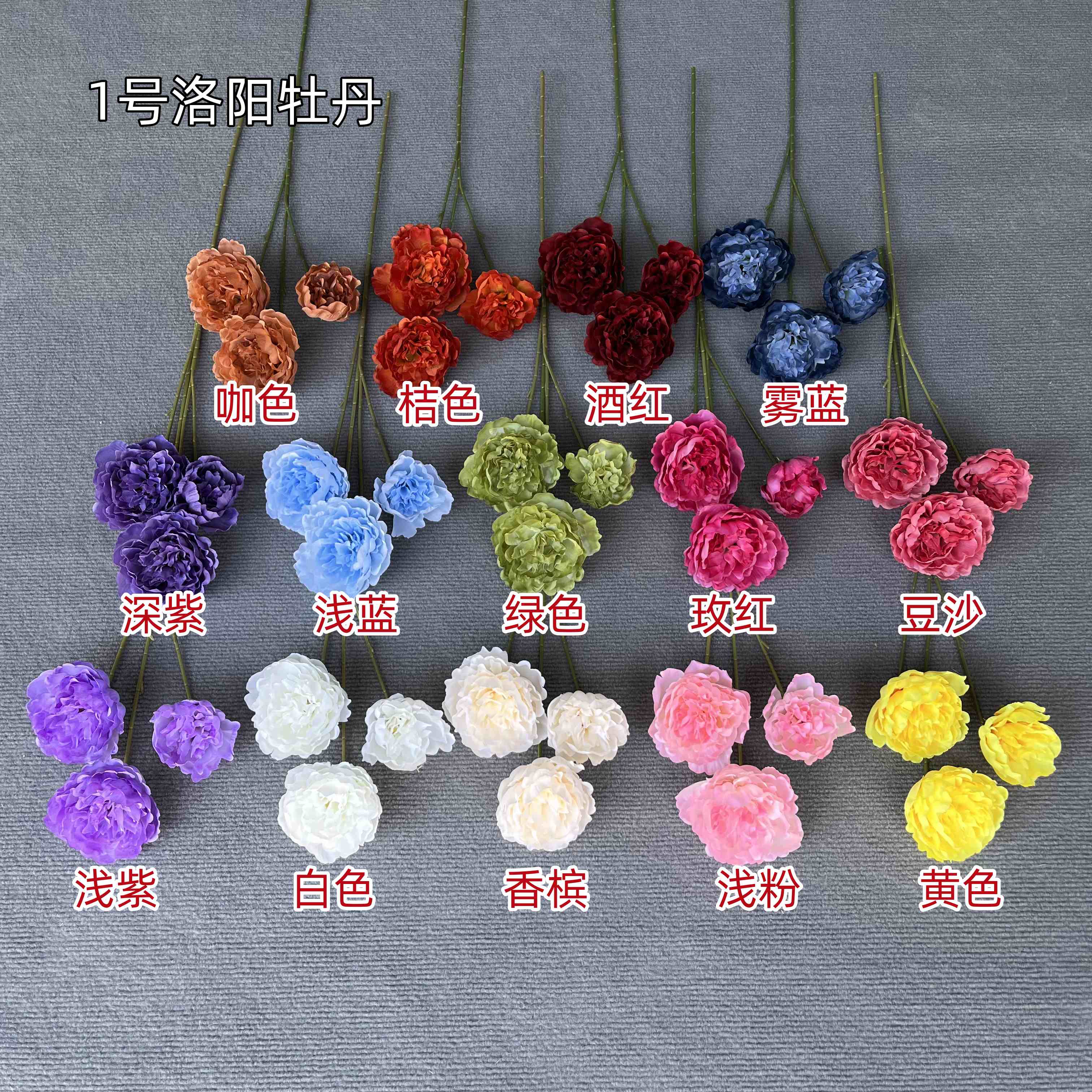 1号洛阳牡丹