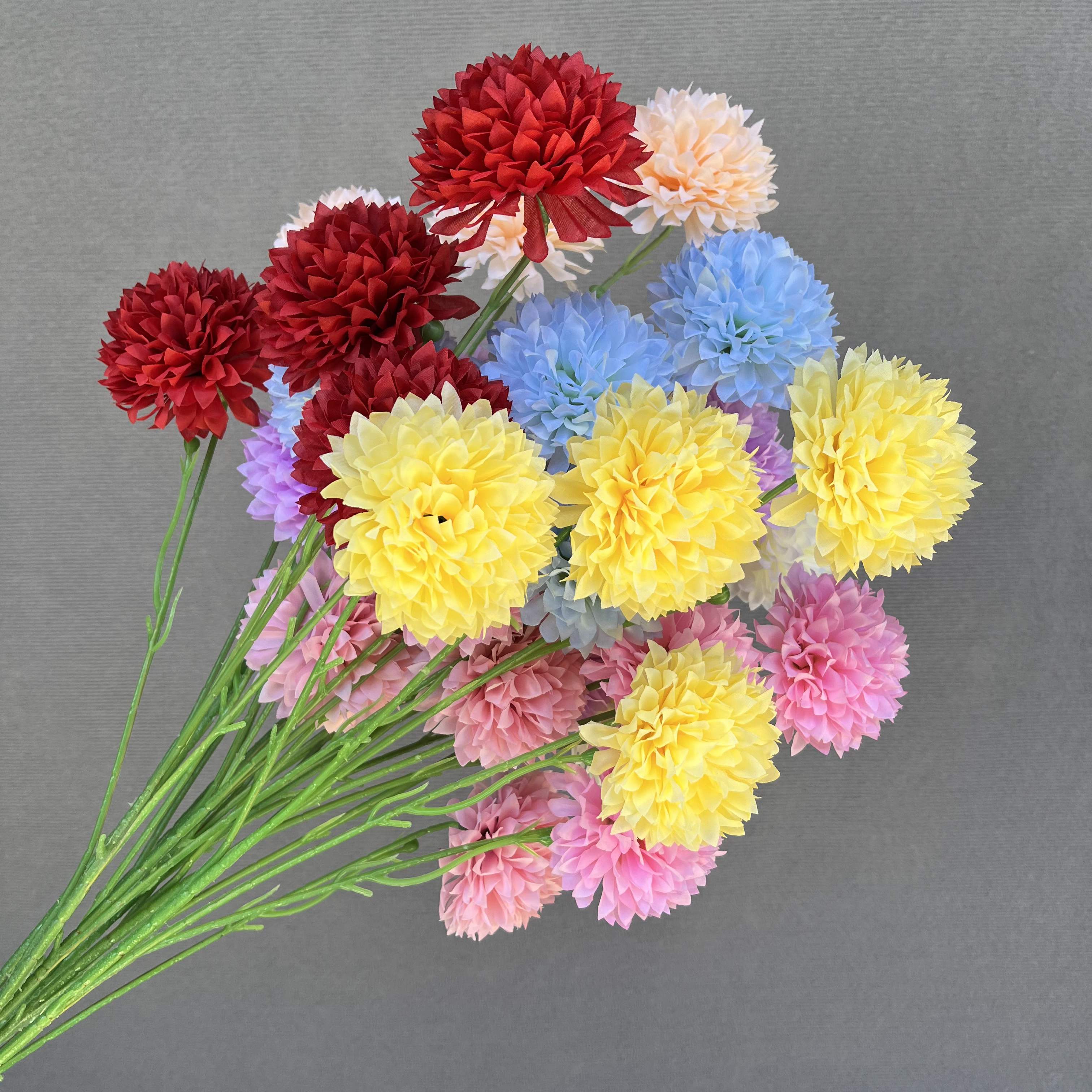 4头大球菊