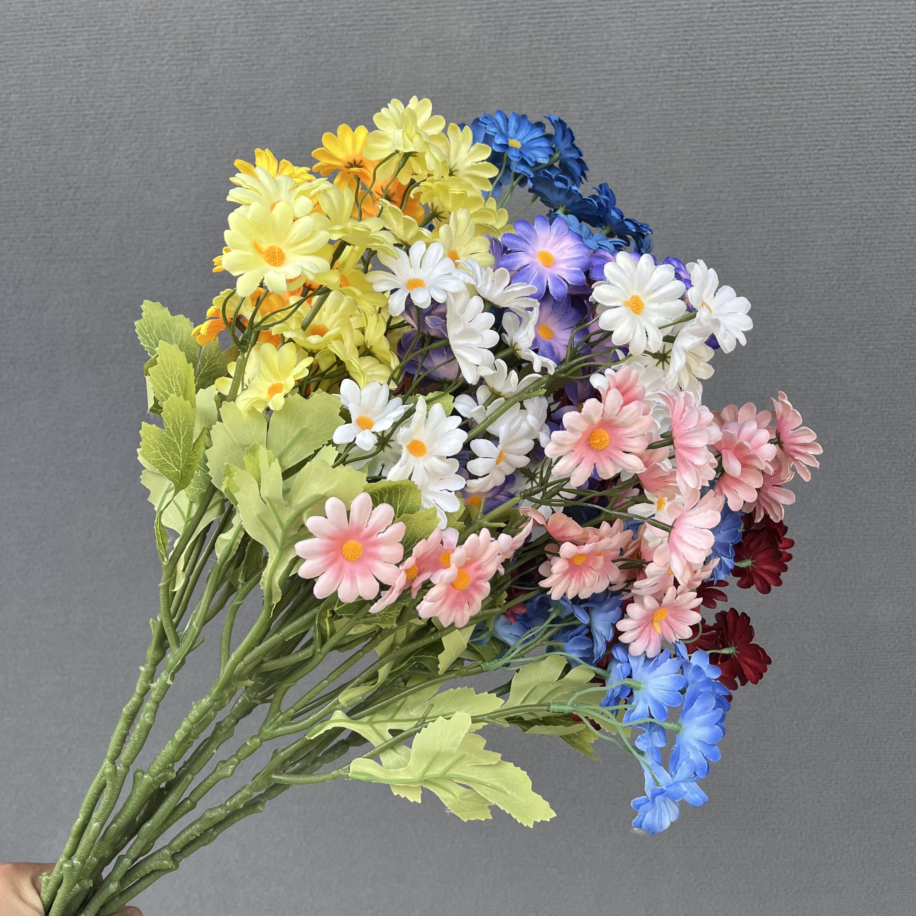 25头小雏菊
